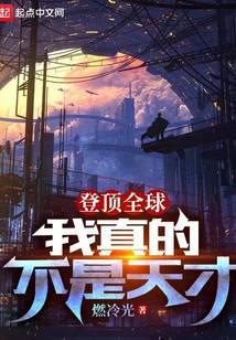 登顶全球:我真的不是天才