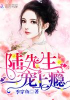 陆先生,一宠上瘾