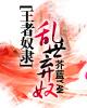 王者奴隶：乱世妾奴
