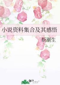 小说资料集合及其感悟