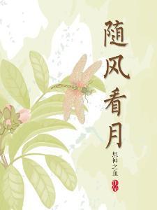 随风看月