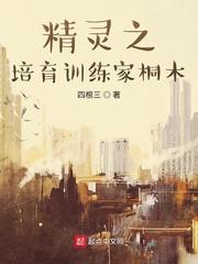精灵之培育训练家桐木