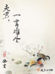 夫君,一言难尽