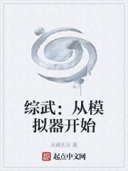 综武:从模拟器开始