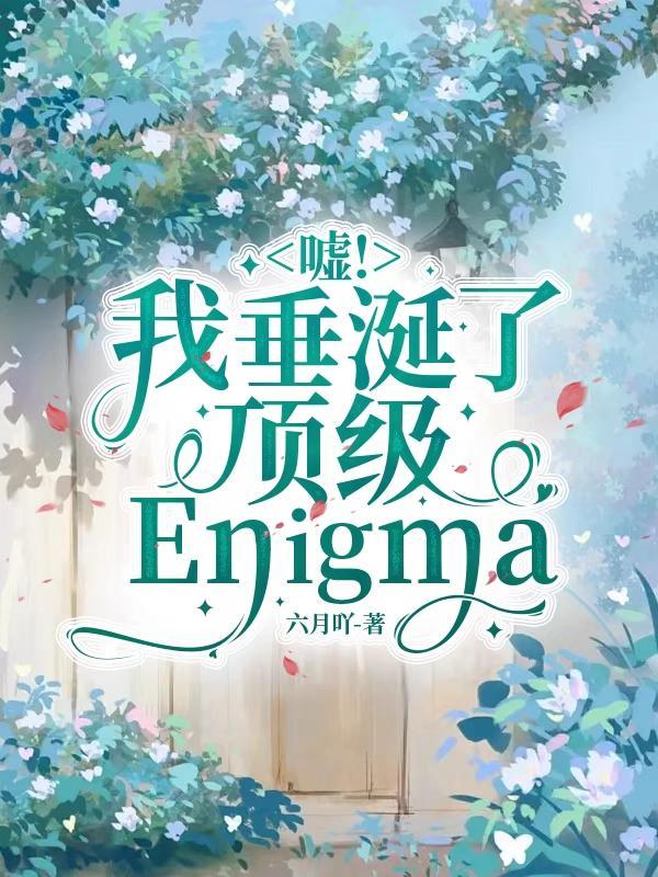 嘘!我垂涎了顶级Enigma","copyright":"番