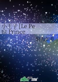 小王子 [Le Petit Prince]