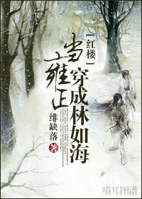 当雍正穿成林如海