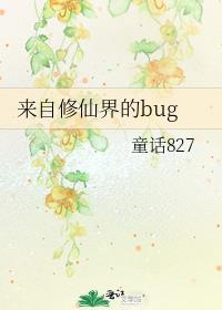 来自修仙界的bug