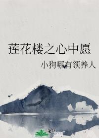 莲花楼之心中愿