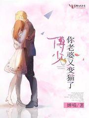 傅少,你老婆又变猫了