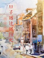 四合院:日子越过越红火