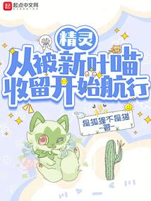 精灵:从被新叶喵收留开始航行
