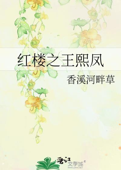 红楼之王熙凤