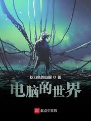 电脑的世界