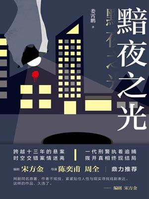 黯夜之光(尘封十三载)