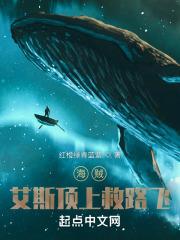 海贼：全团将皇级