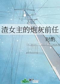 渣女主的炮灰前任