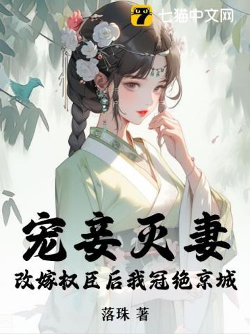 宠妾灭妻?改嫁权臣后我冠绝京城