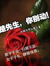楚先生，你别动！