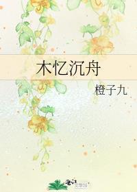 木忆沈舟