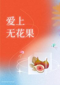 爱上无花果(H)