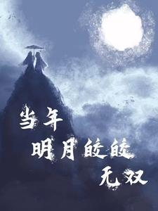 当年明月皎皎无双【西魏篇】