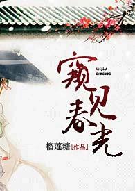 窥见春光【古言,NP】