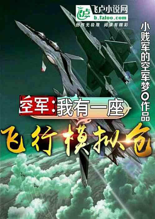 空军:我有一座飞行模拟仓