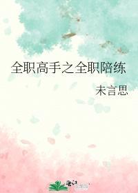 全职高手之全职陪练