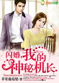 闪婚,我的神秘机长