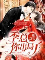 一胎双宝:季总你出局了