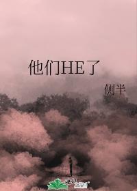他们HE了