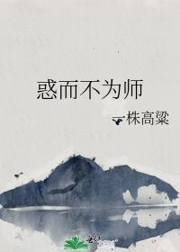 惑而不为师