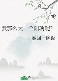 我那么大一个阳魂呢?