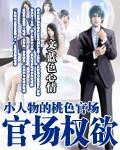 官场权欲:小人物的桃运官路