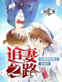 名侦探柯南之基德的追妻之路