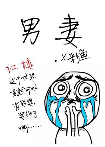 [红楼同人]男妻