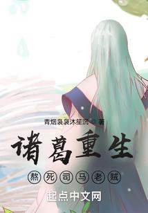 诸葛重生,熬死司马老贼