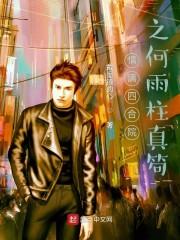 情满四合院之何雨柱真笱