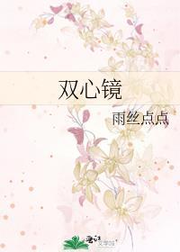 双心镜