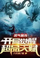 灵气覆苏:开局觉醒超品天赋