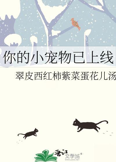 你的小宠物已上线