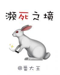 濒死之境