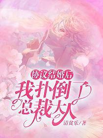 协议结婚后,我扑倒了总裁大人