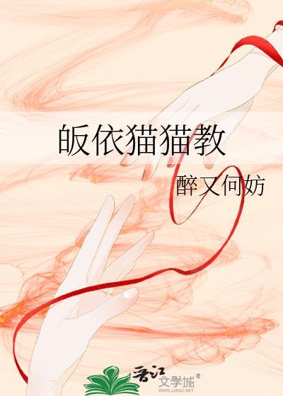 皈依猫猫教