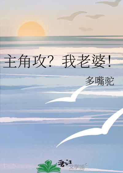 主角攻?我老婆!