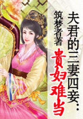 夫君的三妻四妾:贵妇难当