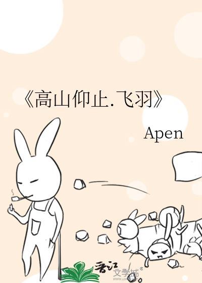 《高山仰止.飞羽》