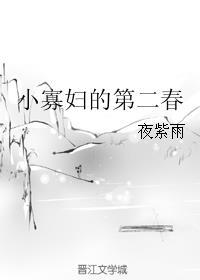 小寡妇的第二春