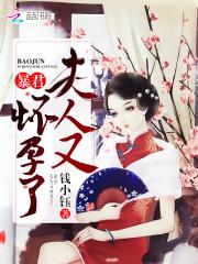 少帅,夫人又怀孕了
